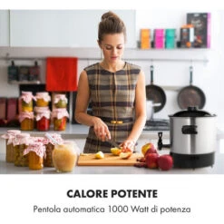 Klarstein Biggie Eco Pastorizzatore & Dispenser 1000W 30-100°C Rubinetto 9l -Piccoli Elettrodomestici 19235922 2