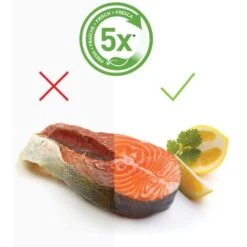 Foodsaver 5X Macchina Sigillatrice Per Sottovuoto, Silver 8 Foodsaver 5X Macchina Sigillatrice Per Sottovuoto, Silver -Piccoli Elettrodomestici 78988536 3