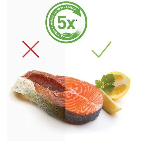 Foodsaver 5X Macchina Sigillatrice Per Sottovuoto, Silver 5 Foodsaver 5X Macchina Sigillatrice Per Sottovuoto, Silver - immagine 3